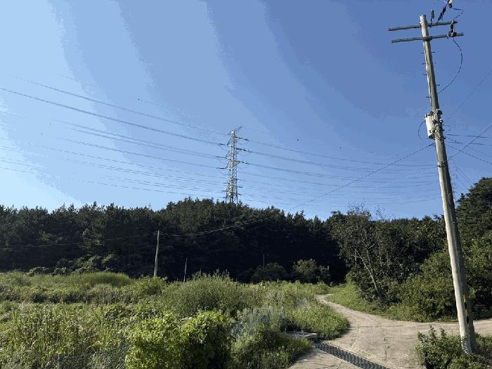충남 태안군 남면 임야 경매 물건 사진 4 · 2025타경51650