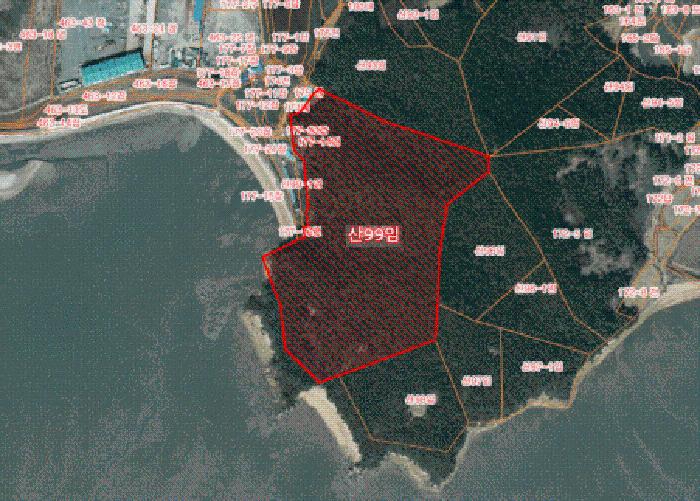 충남 서산시 대산읍 임야 경매 물건 사진 3 · 2025타경51652