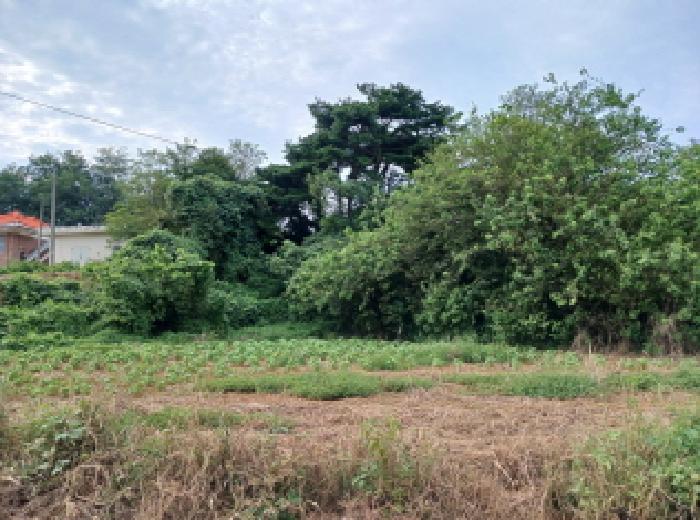 충남 당진시 석문면 전 경매 물건 사진 3 · 2025타경51658