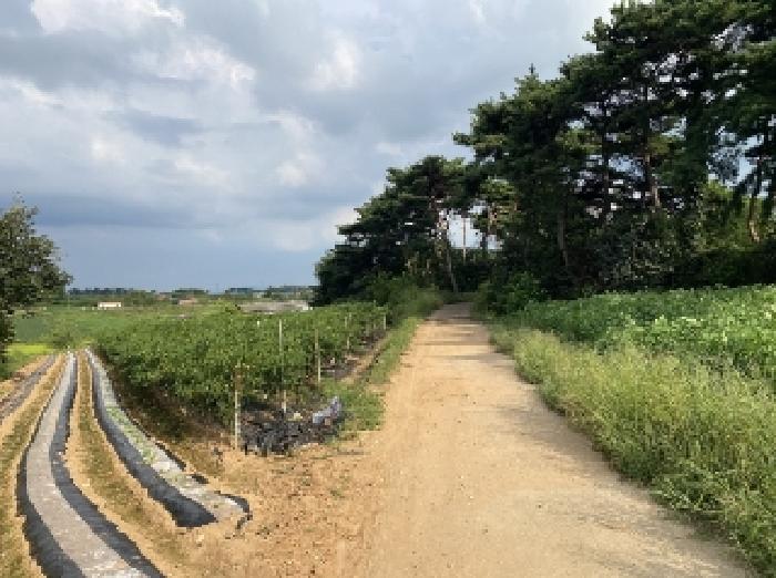충남 당진시 송악읍 임야 경매 물건 사진 3 · 2025타경51659