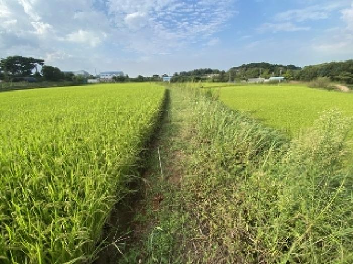 충남 당진시 송악읍 임야 경매 물건 사진 4 · 2025타경51659