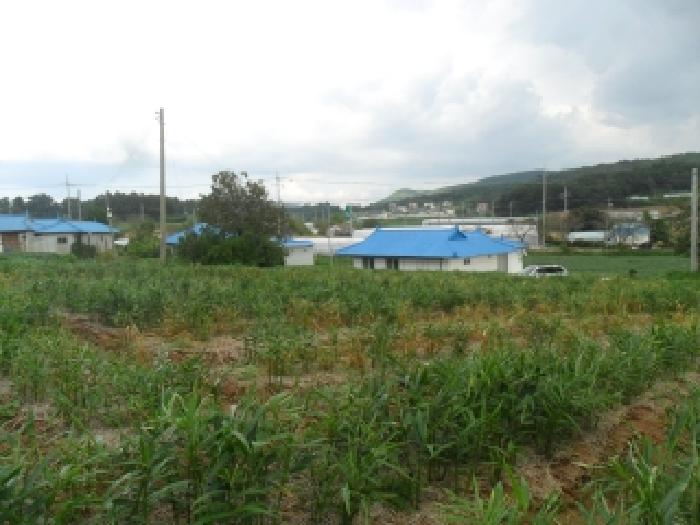 충남 서산시 부석면 전답 경매 물건 사진 2 · 2025타경51676