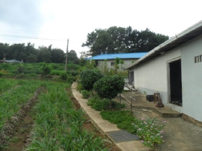 충남 서산시 부석면 전답 경매 물건 사진 6 · 2025타경51676