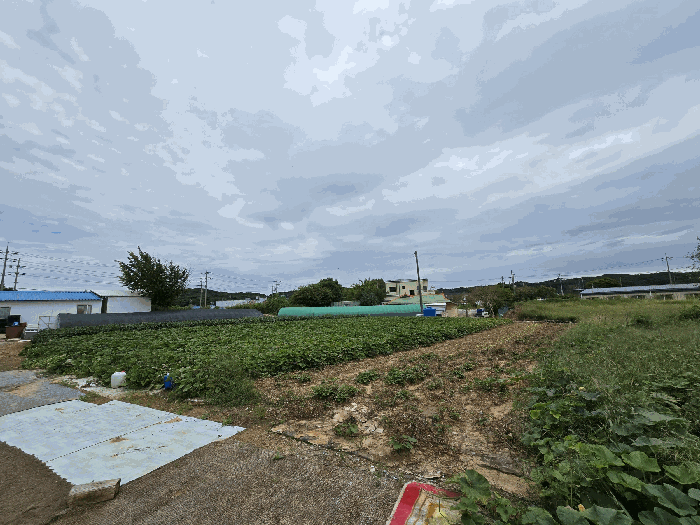 충남 태안군 안면읍 답 경매 물건 사진 5 · 2025타경51677