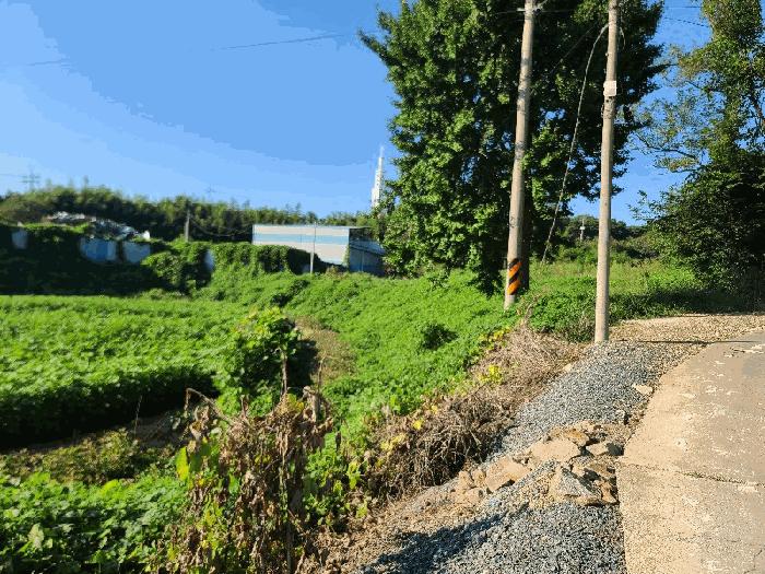 충남 당진시 석문면 임야 경매 물건 사진