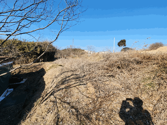 충청남도 당진시 석문면 교로리 827 전 경매 물건 사진
