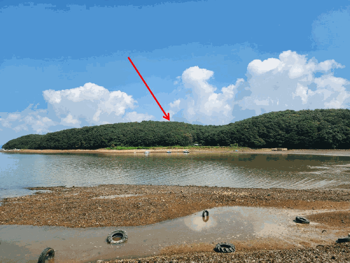 충청남도 태안군 안면읍 중장리 318-5 임야 경매 물건 사진