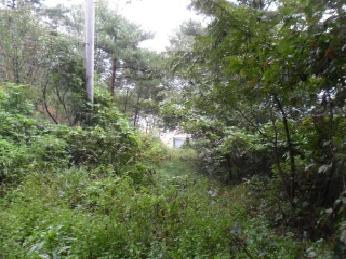 충남 태안군 안면읍 임야 경매 물건 사진 6 · 2025타경51703