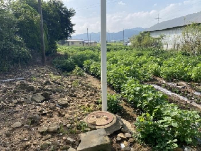 충남 당진시 면천면 전답 경매 물건 사진