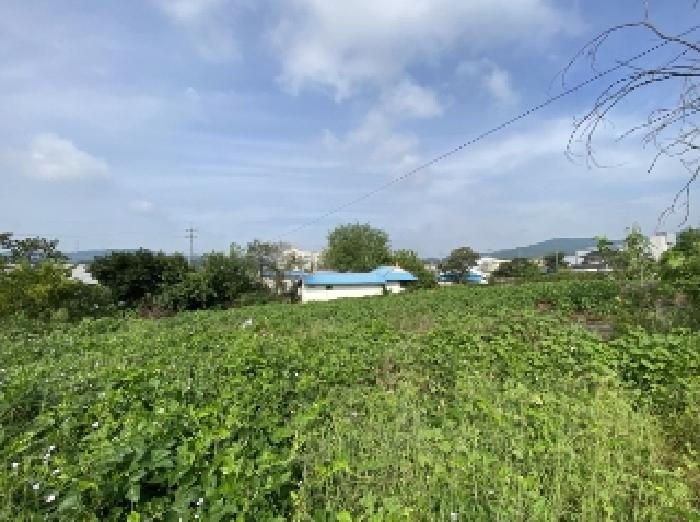 충남 당진시 면천면 전답 경매 물건 사진 3 · 2025타경51705