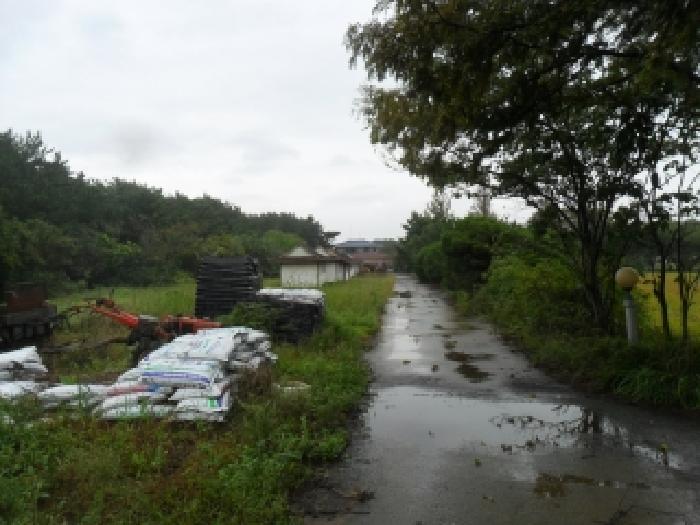 충남 태안군 남면 답 경매 물건 사진 3 · 2025타경51727