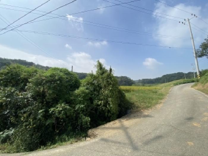 충남 당진시 송악읍 답 경매 물건 사진 2 · 2025타경51732