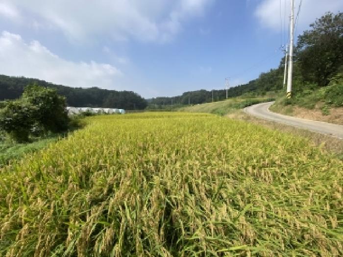 충남 당진시 송악읍 답 경매 물건 사진 4 · 2025타경51732