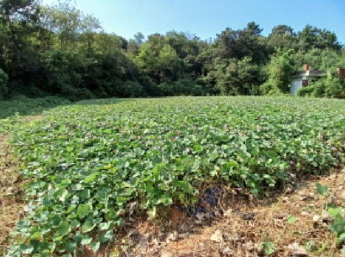 충남 당진시 고대면 목장용지 경매 물건 사진 4 · 2025타경51734