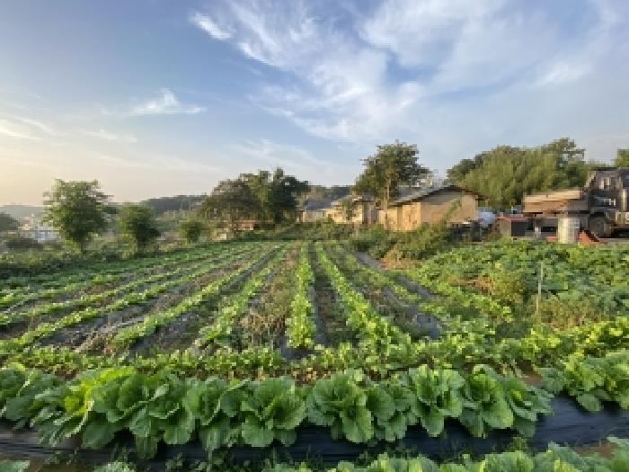 충남 당진시 송산면 대지,임야,전답 경매 물건 사진 3 · 2025타경51759