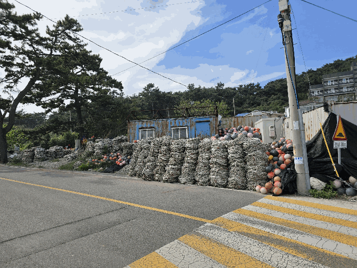 충남 태안군 근흥면 대지 경매 물건 사진 6 · 2025타경51761