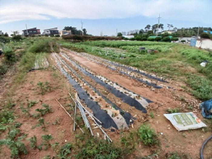 충남 서산시 음암면 임야 경매 물건 사진 2 · 2025타경51762