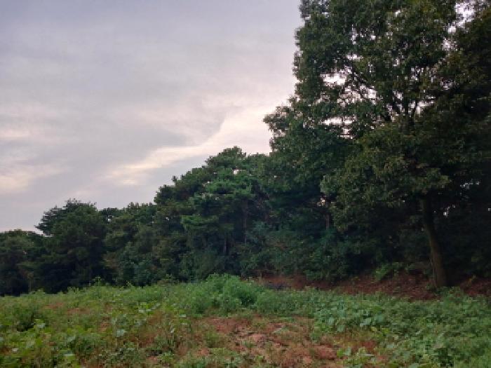 충남 서산시 음암면 임야 경매 물건 사진 4 · 2025타경51762