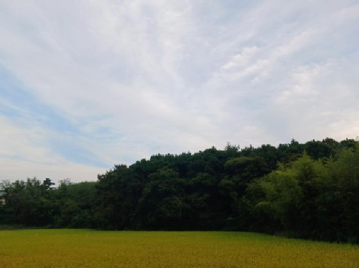충남 서산시 음암면 임야 경매 물건 사진 5 · 2025타경51762