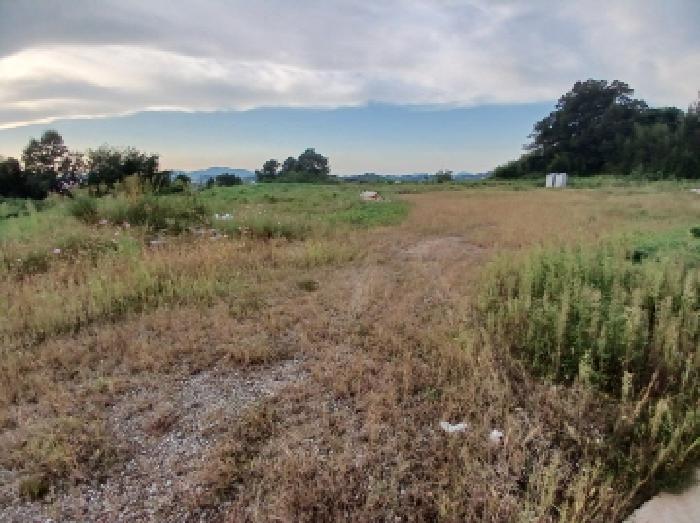 충남 서산시 음암면 임야 경매 물건 사진 6 · 2025타경51762