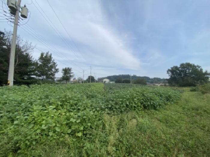 충남 당진시 신평면 대지,임야,전답 경매 물건 사진 5 · 2025타경51763
