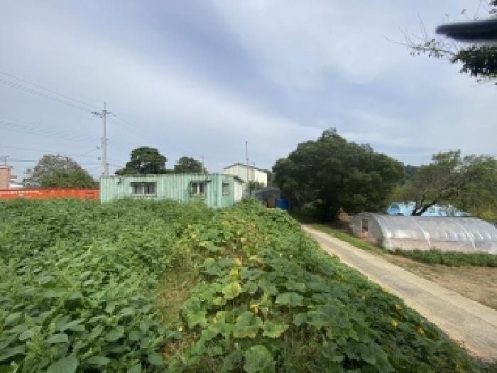충남 당진시 신평면 대지,임야,전답 경매 물건 사진 6 · 2025타경51763