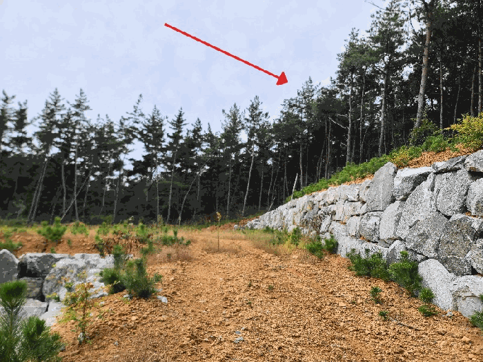 충남 서산시 팔봉면 임야 경매 물건 사진 6 · 2025타경51764