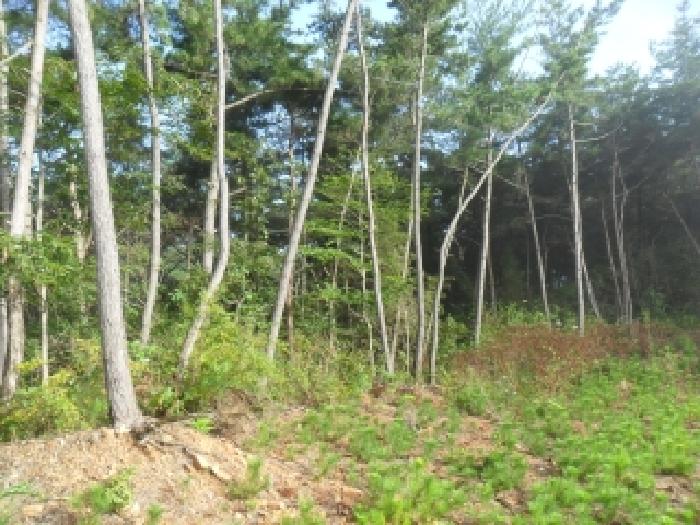 충남 서산시 팔봉면 임야 경매 물건 사진 3 · 2025타경51764