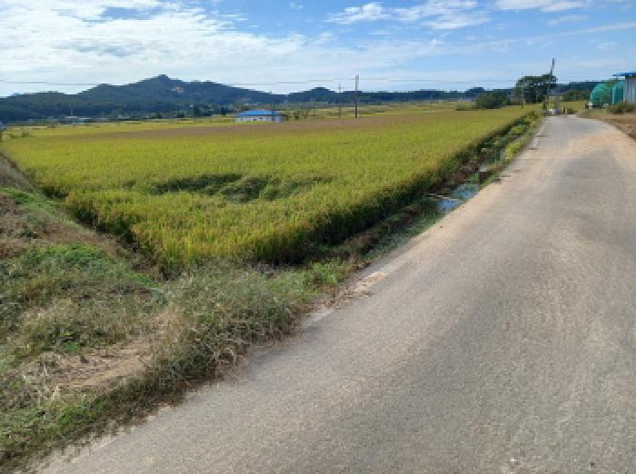 충남 서산시 해미면 답 경매 물건 사진 4 · 2025타경51777