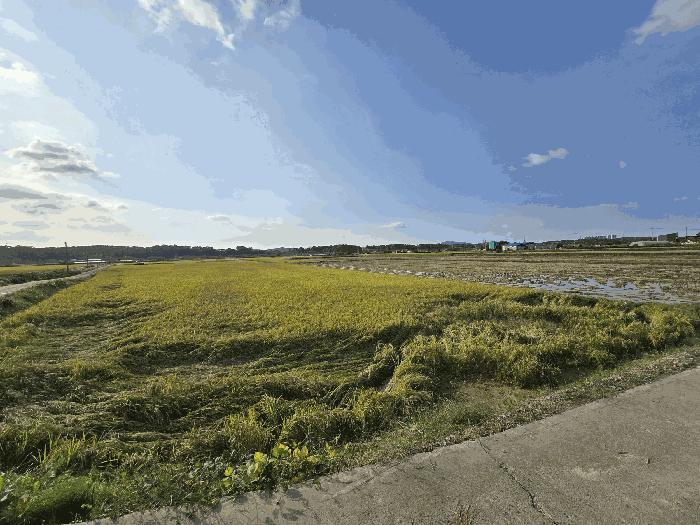 충남 서산시 해미면 답 경매 물건 사진