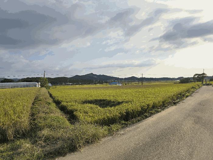 충남 서산시 해미면 답 경매 물건 사진 3 · 2025타경51777