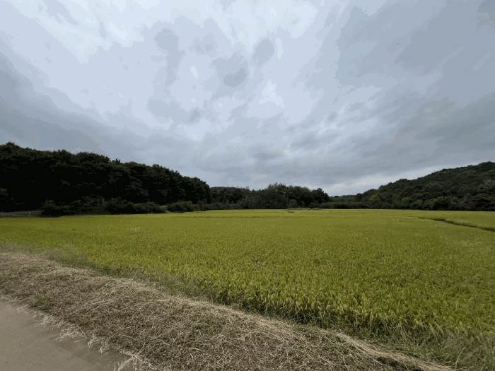 충남 당진시 석문면 전답 경매 물건 사진 6 · 2025타경51780