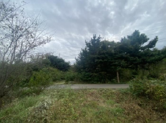 충남 당진시 송악읍 대지 경매 물건 사진 2 · 2025타경51793
