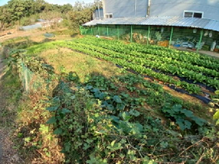 충남 당진시 고대면 주차장 경매 물건 사진 3 · 2025타경51817