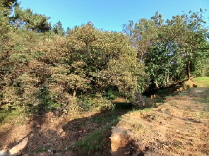 충남 당진시 고대면 주차장 경매 물건 사진 5 · 2025타경51817