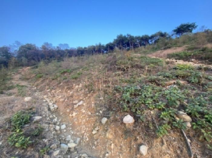충남 당진시 합덕읍 대지,임야,전답 경매 물건 사진 3 · 2025타경51829