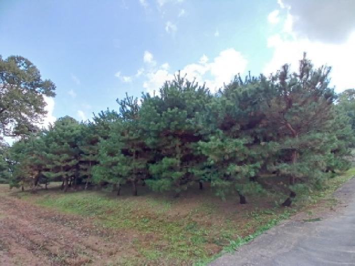 충남 서산시 음암면 임야 경매 물건 사진