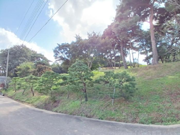 충남 서산시 음암면 임야 경매 물건 사진 2 · 2025타경51830