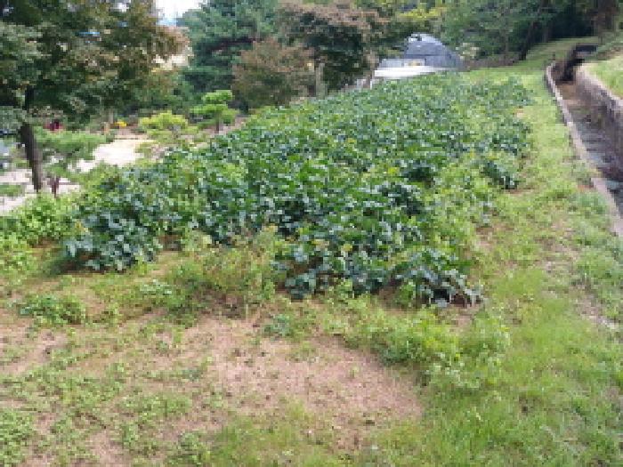 충남 서산시 음암면 임야 경매 물건 사진 3 · 2025타경51830