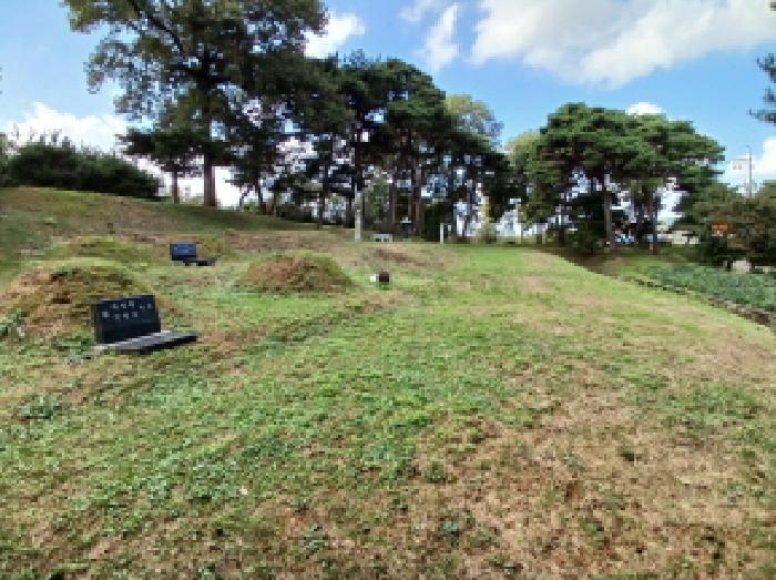 충남 서산시 음암면 임야 경매 물건 사진 4 · 2025타경51830