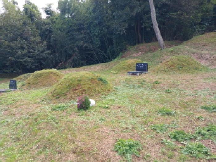 충남 서산시 음암면 임야 경매 물건 사진 6 · 2025타경51830
