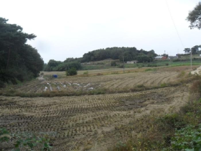 충남 서산시 부석면 답 경매 물건 사진 2 · 2025타경51841