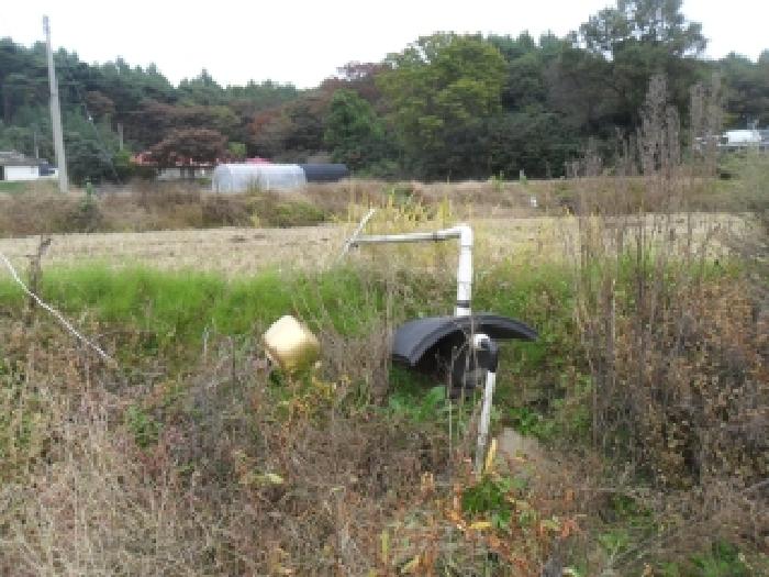 충남 서산시 부석면 답 경매 물건 사진 3 · 2025타경51841