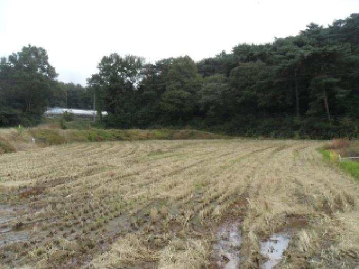 충남 서산시 부석면 답 경매 물건 사진 5 · 2025타경51841