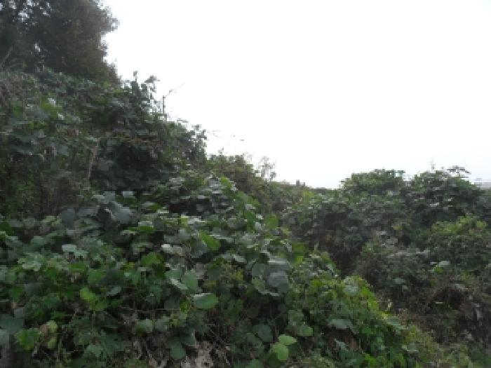 충남 태안군 고남면 전 경매 물건 사진 6 · 2025타경51842