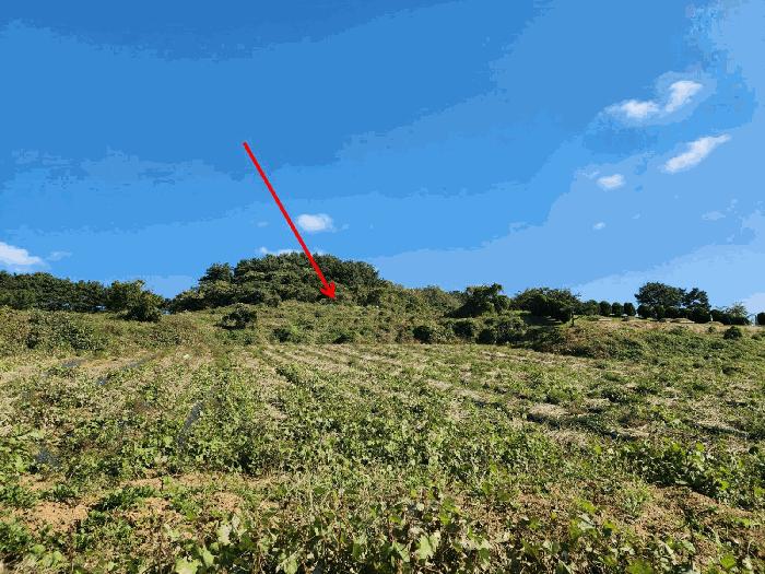 충남 태안군 고남면 전 경매 물건 사진 2 · 2025타경51842