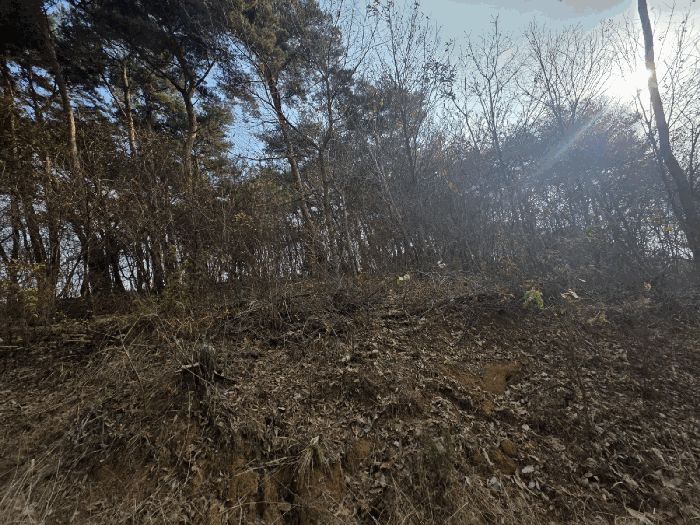 충남 서산시 인지면 임야 경매 물건 사진 5 · 2025타경51849