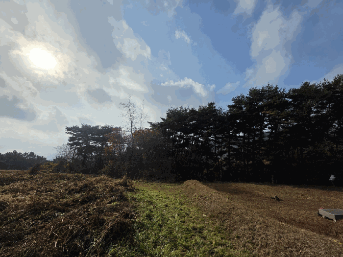 충남 서산시 인지면 임야 경매 물건 사진 6 · 2025타경51849