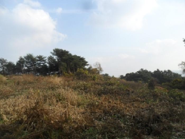 충남 서산시 인지면 임야 경매 물건 사진