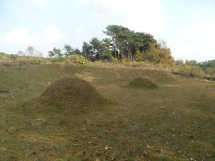 충남 서산시 인지면 임야 경매 물건 사진 3 · 2025타경51849